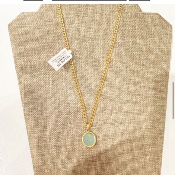 Alex and Ani Color Infusion 18" Ankh Necklace - Picture 9 of 15